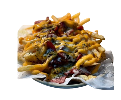 Loaded Fries 